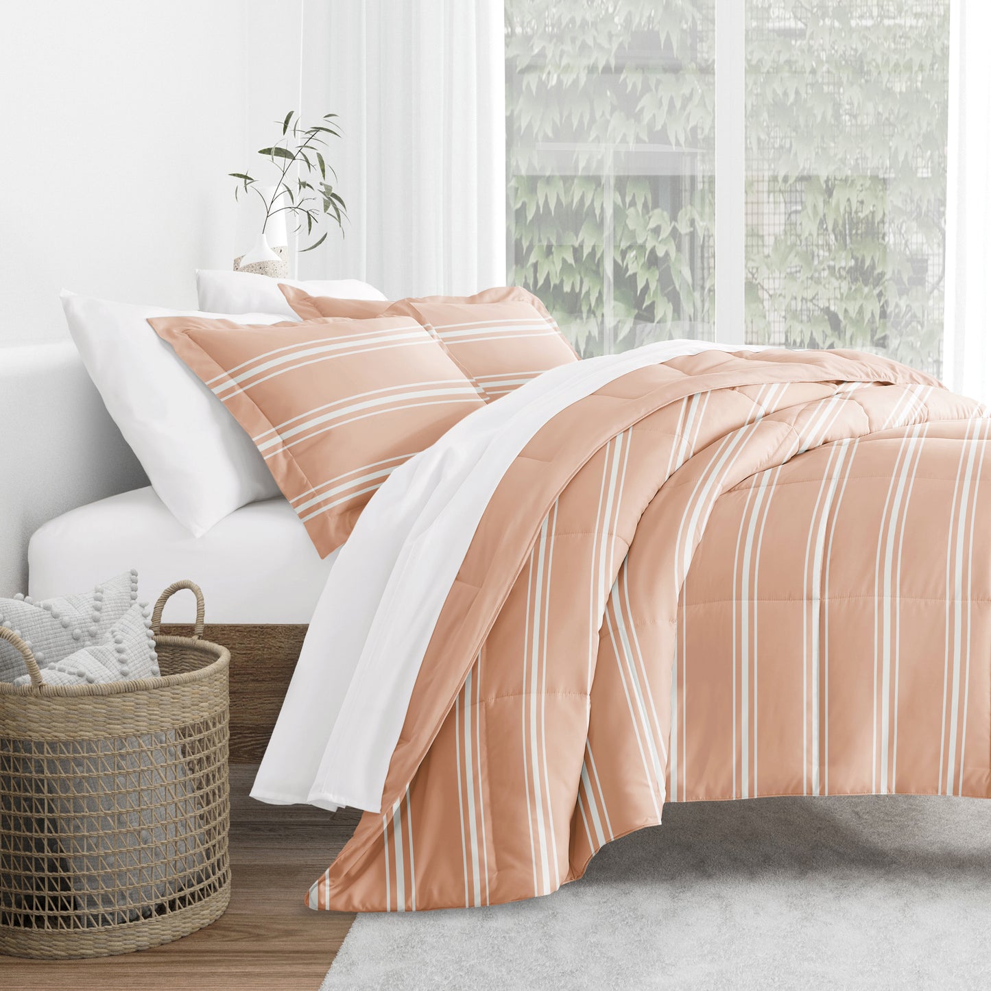 Soft Stripe Rose